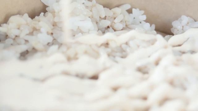 Поке с тунцом смотреть онлайн