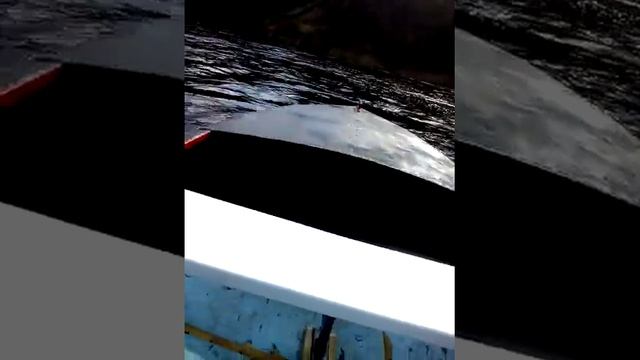 ns marine 5 на аллюминьке смотреть онлайн