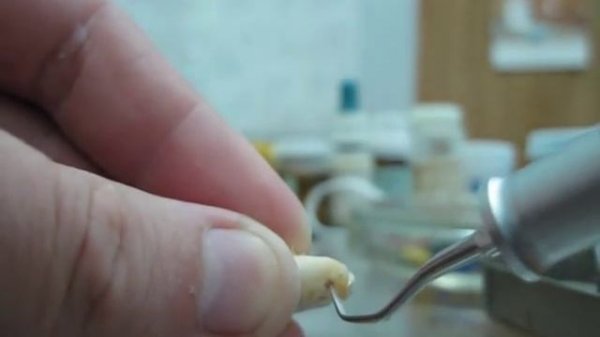 Звуковой скалер