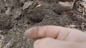 Ака Интроник СТФ взял в руки первый раз и нашел клад