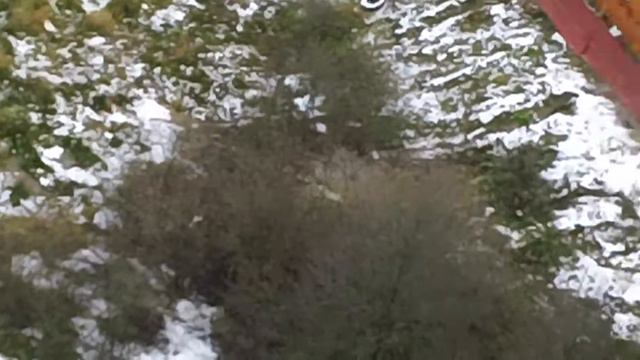 убрать землю жк сокол мурино девяткино смотреть онлайн