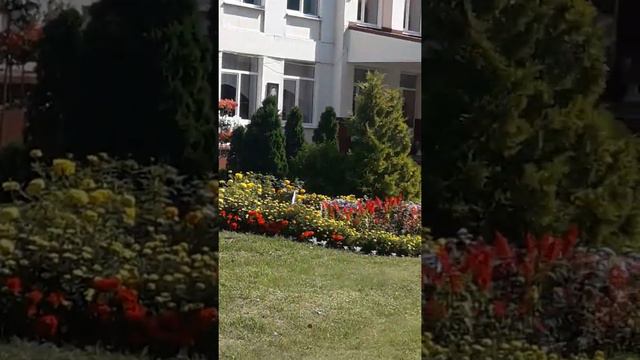 😎⚽️⚽️⚽️УМНЫЙ ЧЕЛОВЕК- ДОБРЫЙ ЧЕЛОВЕК смотреть онлайн