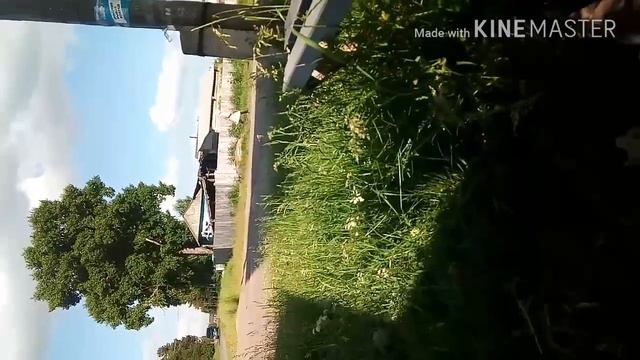 Злая Бабка смотреть онлайн