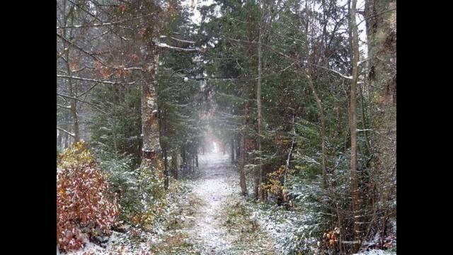 Картины художника Валерия Ниминущего смотреть онлайн