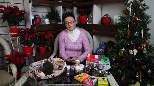 Правильное питание для Кошек ✔️ Чем Кормить Кошку ? Советы от Garden-zoo смотреть онлайн