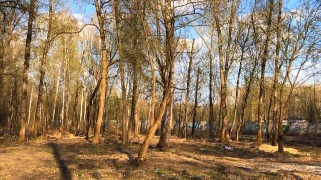 ПИКНИК Парк БОЕВА Дача смотреть онлайн