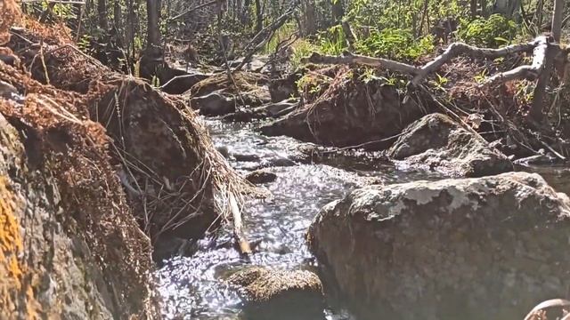 Авто путешествие на водопад Гадельша, Башкирия. 07.05.2023 смотреть онлайн