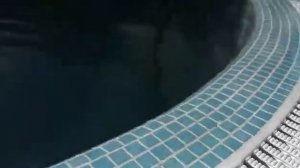 Строительство бассейна. Переливной. Мозаика. Запуск бассейна