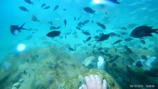 дайвинг кимер средеземное море смотреть онлайн