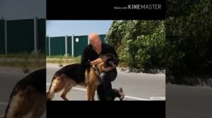 Клип Максимов и Пёс ,,Человек собаке друг»