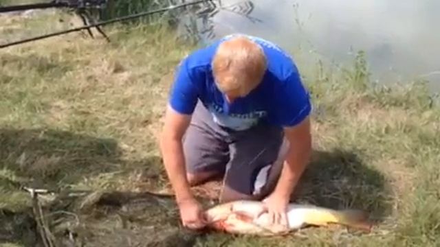 Ловля карпа Крым Симферополь! смотреть онлайн