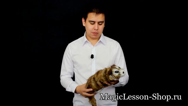 Енот Rocky - Реквизит