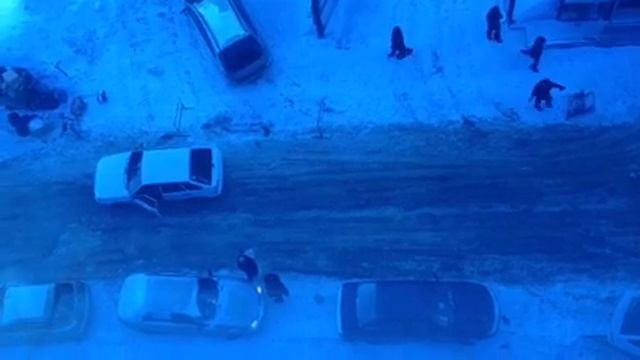 Чуть не переехали ногу на Чернышевского смотреть онлайн