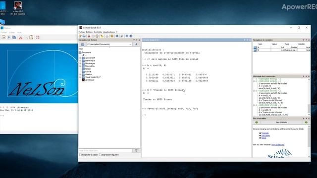 HDF5 interoperability between Nelson and Scilab. смотреть онлайн