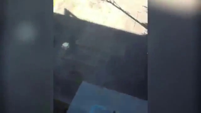 ЮВЕНАЛЬНЫЙ ФАШИЗМ смотреть онлайн