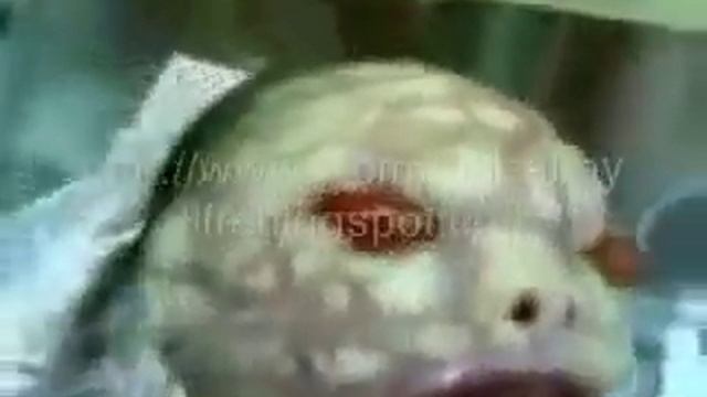 Miraculous!!!!baby snake,ребёнок змея(слабонервным не смотреть) смотреть онлайн