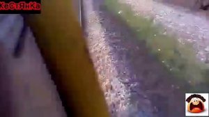 Поезд сбил корову (слабонервным не смотреть)