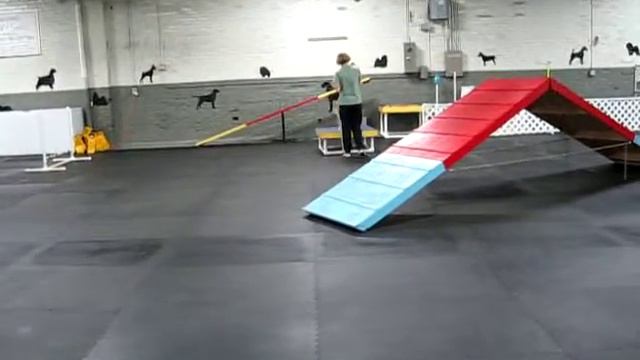 Sonnet And Katy Training December 31, 2009