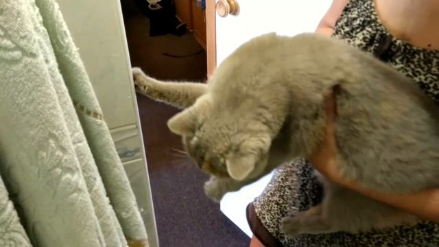 Пойдем купаться смотреть онлайн