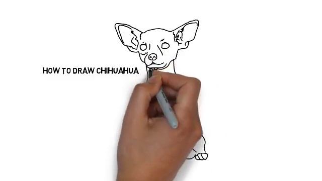 How to draw Chihuahua смотреть онлайн
