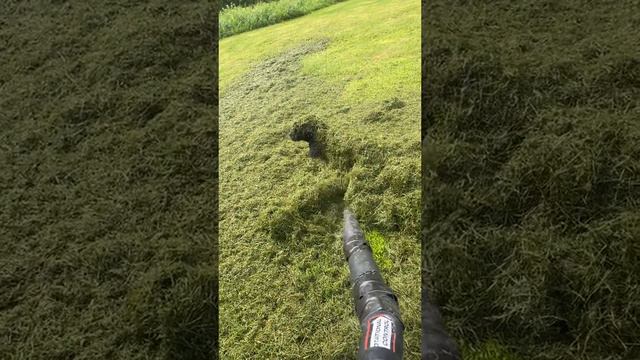 Ему норм смотреть онлайн