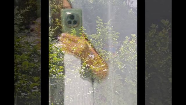 Продается 2х-комнатная квартира с кухней-гостиной. На 1 высоком этаже в Москве. Выхино. м.Юго-восточ смотреть онлайн