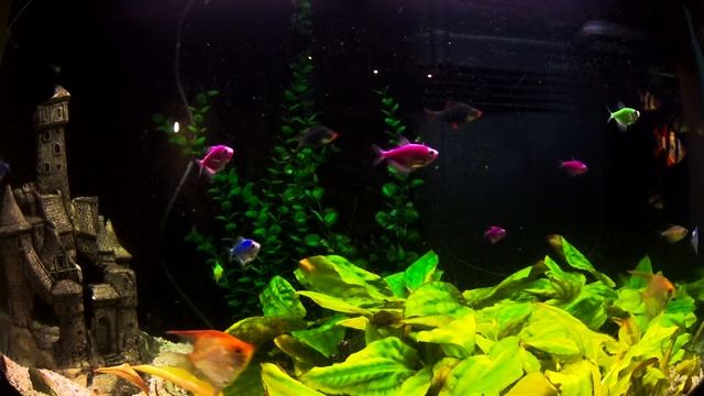 Релакс прекрасная музыка ,The Best Relaxing МАКСИМАЛЬНОЕ РАССЛАБЛЕНИЕ ,снятие стресса смотреть онлайн