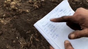 СЕЕМ РАЗНОТРАВЬЕ | 10 ГЕКТАР | ДЛЯ ПРЕССОВАНИЕ ТЮКОВ