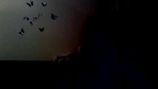 Видео с веб-камеры. Дата: 3 декабря 2013 г., 15:34. смотреть онлайн