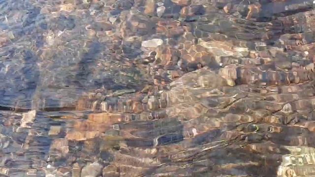 Ближе к природе/р Пушма смотреть онлайн