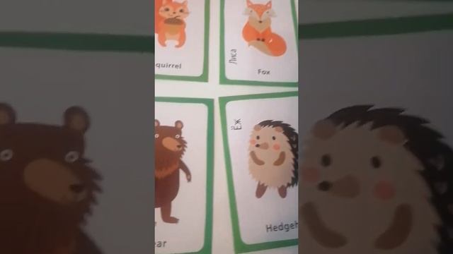 Учимся английский вместе. смотреть онлайн