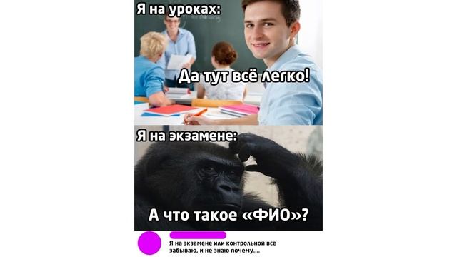 ЕВРО РЕМОНТ) Не обманули)) Приколы | Мемозг 765 смотреть онлайн