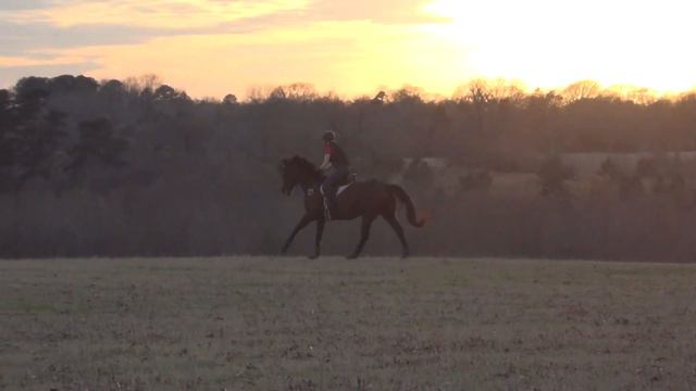 Tx Rose Feb 2019 Grace XC 5 смотреть онлайн