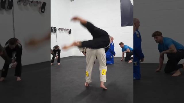 Gorilla Grapplers