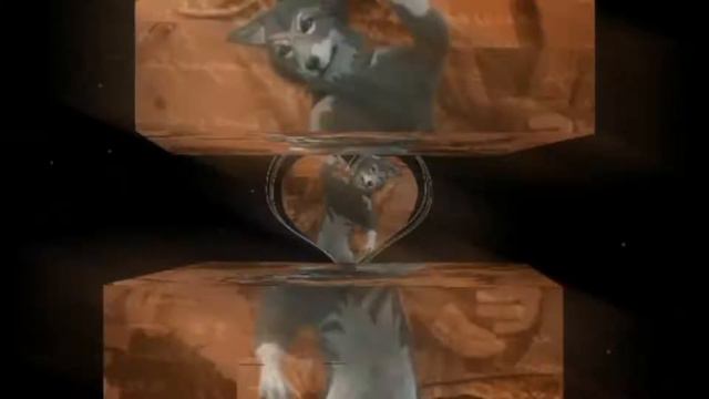 🐺New intro||Wolf Grey||Ч.о. 🐺☕ смотреть онлайн