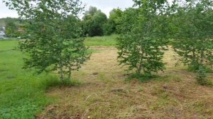 г.Лиски,обзор села Лиски.