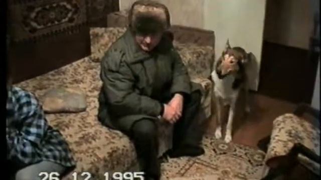 Авторская сьёмка. Главный кинолог страны! смотреть онлайн