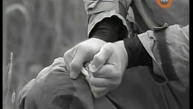 Самозащита