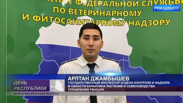 Сотрудники регионального управления Россельхознадзора провели досмотр рождественских деревьев смотреть онлайн