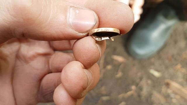 УДАЧНЫЙ ШУРФ С X-TERRA 705. НЕОЖИДАННО ПОПАЛОСЬ ЦАРСКОЕ ЗОЛОТО - 56 ПРОБА!!! смотреть онлайн