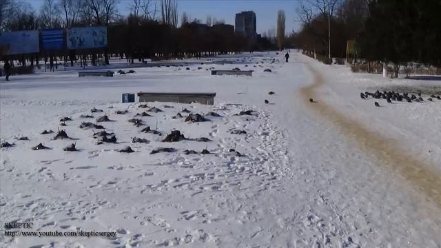 Пример фото сделанные видеокамерой Sony HDR CX220E смотреть онлайн