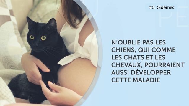 8 Maladies Graves Que Notre Peau Nous Signale смотреть онлайн