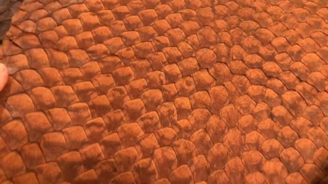 Pirarucu Arapaima Fish Matte Collection смотреть онлайн