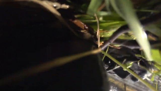 Падение из лодки. Осень, уже и снег лежит. доставал весло смотреть онлайн