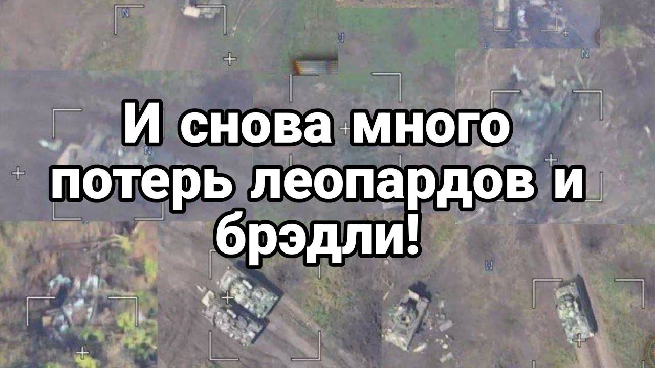 И СН0ВА МН0Г0 П0ТЕРЬ ЛЕ0ПАРДОВ И Брэдли