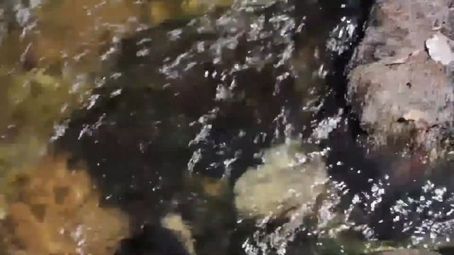 Удивительный сон приснился мне. смотреть онлайн