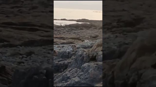 Остров Вонсандо. 70 км от Нонсана. Жёлтое море. смотреть онлайн