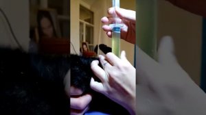 Как поставить катетер коту в домашних условиях