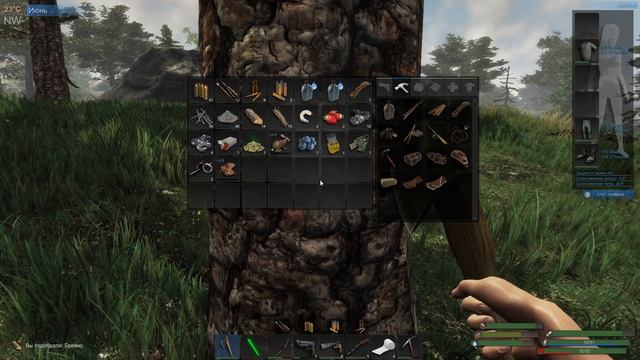 Игра Subsistence. Выживание в дикой природе. смотреть онлайн