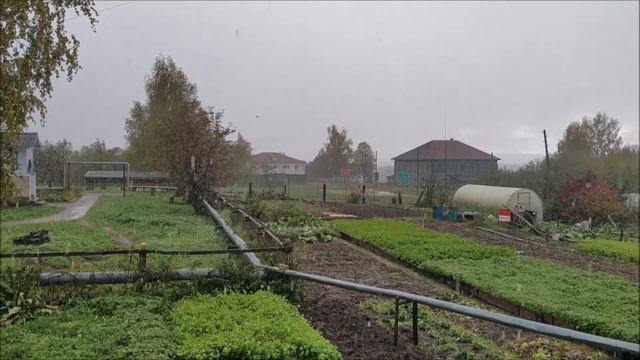 Это было вчера (23.09.19)...